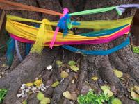 Umwickelter heiliger Baum